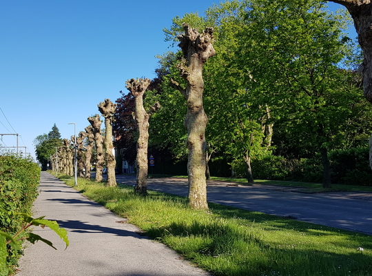 Guido Gezellelaan Rumbeke Guido Gezellelaan Rumbeke